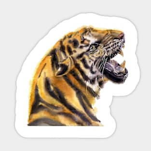 Tiger  portrait Sticker